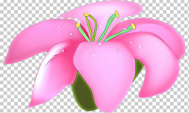Pink Petal Flower Plant Frangipani PNG, Clipart, Flower, Frangipani, Impatiens, Petal, Pink Free PNG Download