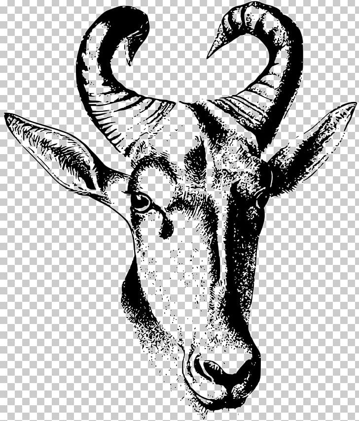 Cattle Antelope Bovinae Drawing PNG, Clipart, Animal, Animals, Antelope, Banteng, Black Free PNG Download