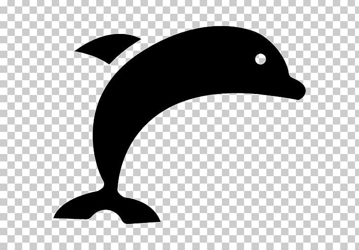 Dolphin Computer Icons PNG, Clipart, Animals, Beak, Bird, Black, Black And White Free PNG Download