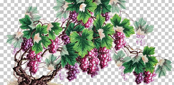 Grape Chinese Painting Fruit PNG, Clipart, Art, Auglis, Black Grapes, Branch, Christmas Decoration Free PNG Download