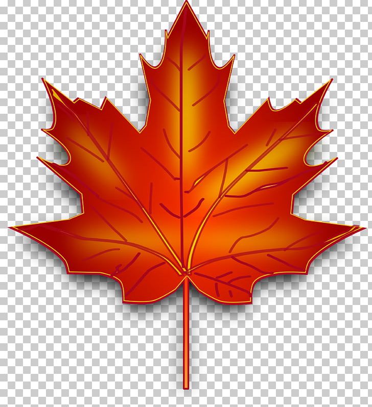 Maple Leaf Canada PNG, Clipart, Autumn Leaf Color, Canada, Clip Art, Coat Of Arms Of Ontario, Flag Of Canada Free PNG Download