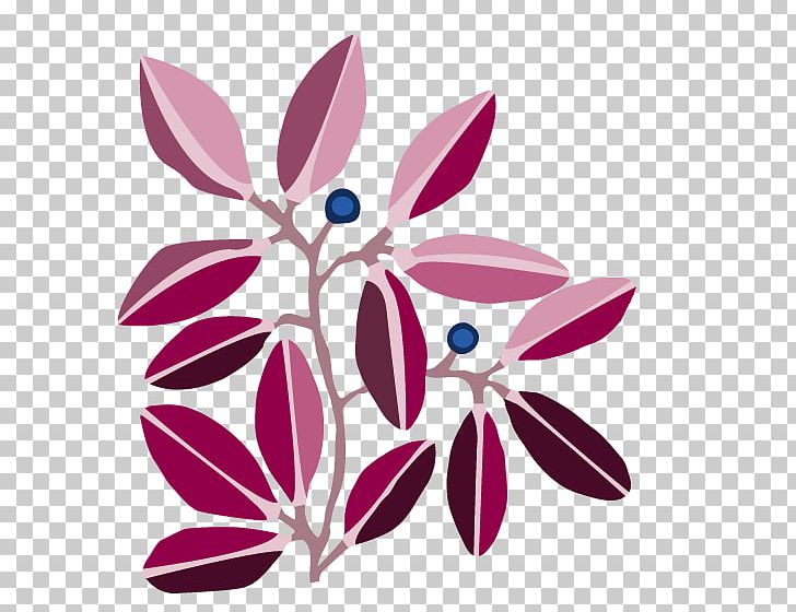 Petal Floral Design MyHeritage Genealogical DNA Test PNG, Clipart, Anorexia, Anorexia Nervosa, Dna, Flora, Floral Design Free PNG Download