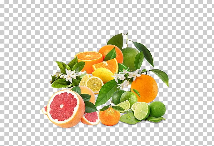 Clementine Mandarin Orange Food Tangerine Lemon PNG, Clipart, Citric Acid, Citrus, Clementine, Diet Food, Flavourart Flagship Free PNG Download