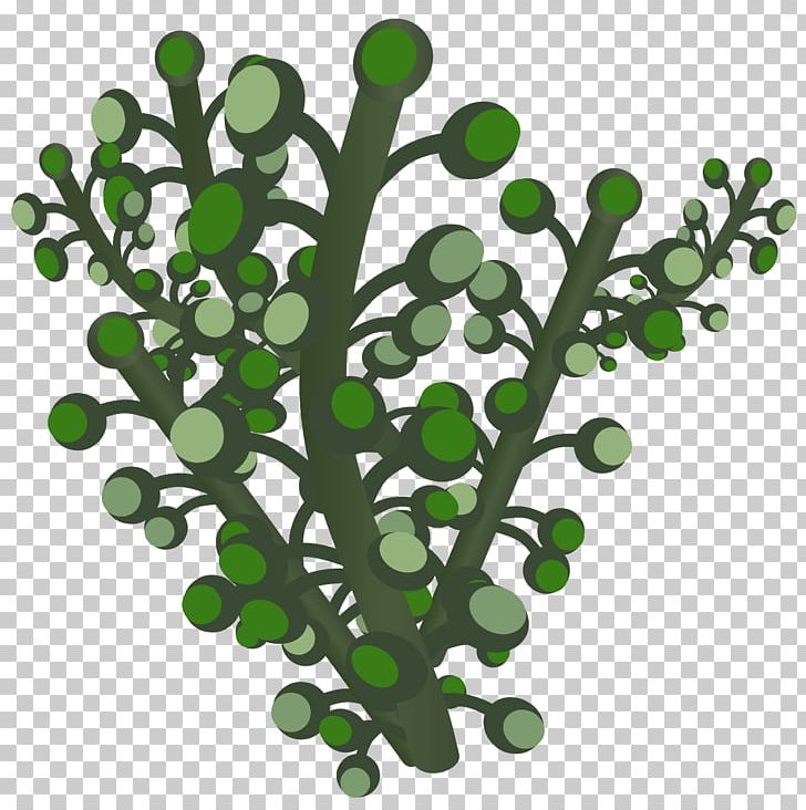 Game Leaf Branch PNG, Clipart, Branch, Computer Icons, Game, Google, Google Search Free PNG Download