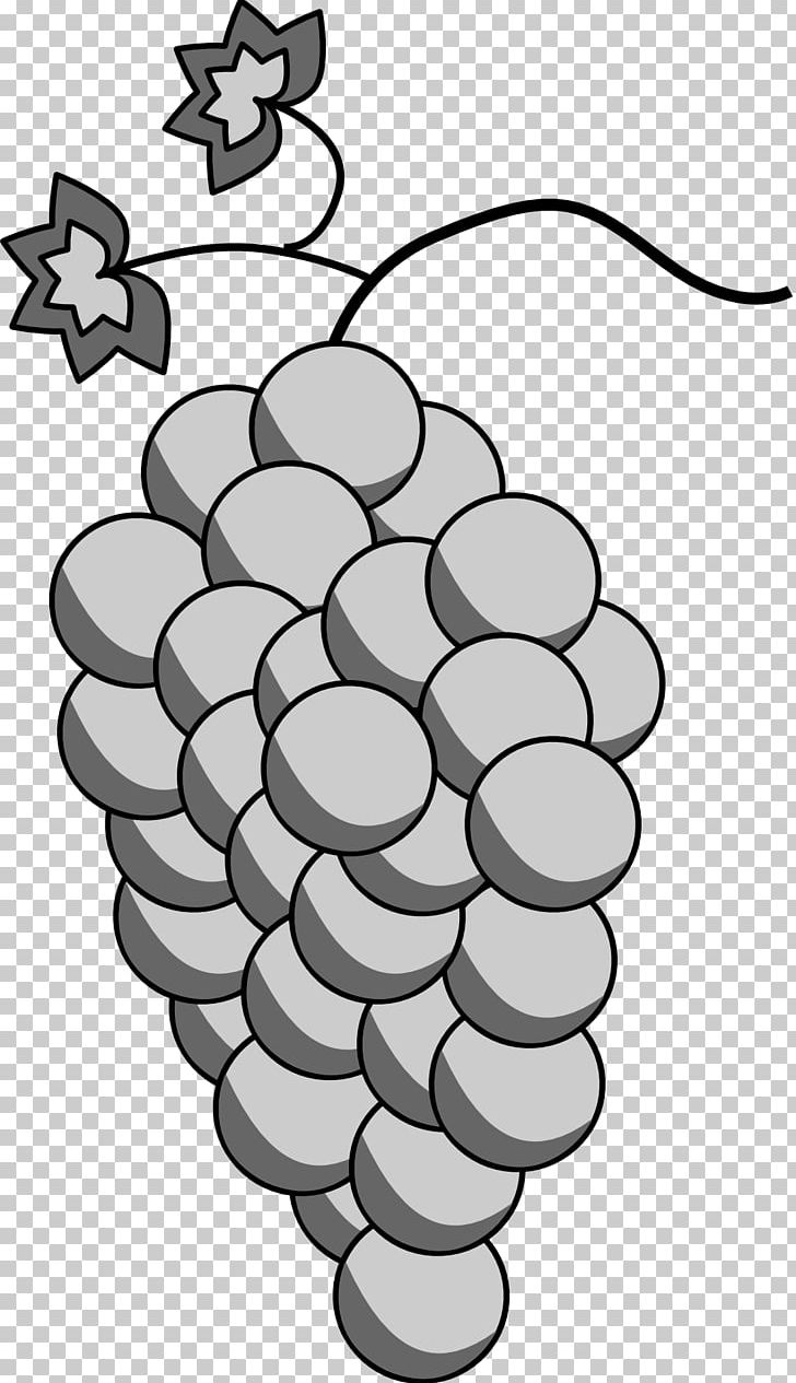 Grape Black And White PNG, Clipart, Black And White, Circle, Coloring Book, Dough, Download Free PNG Download