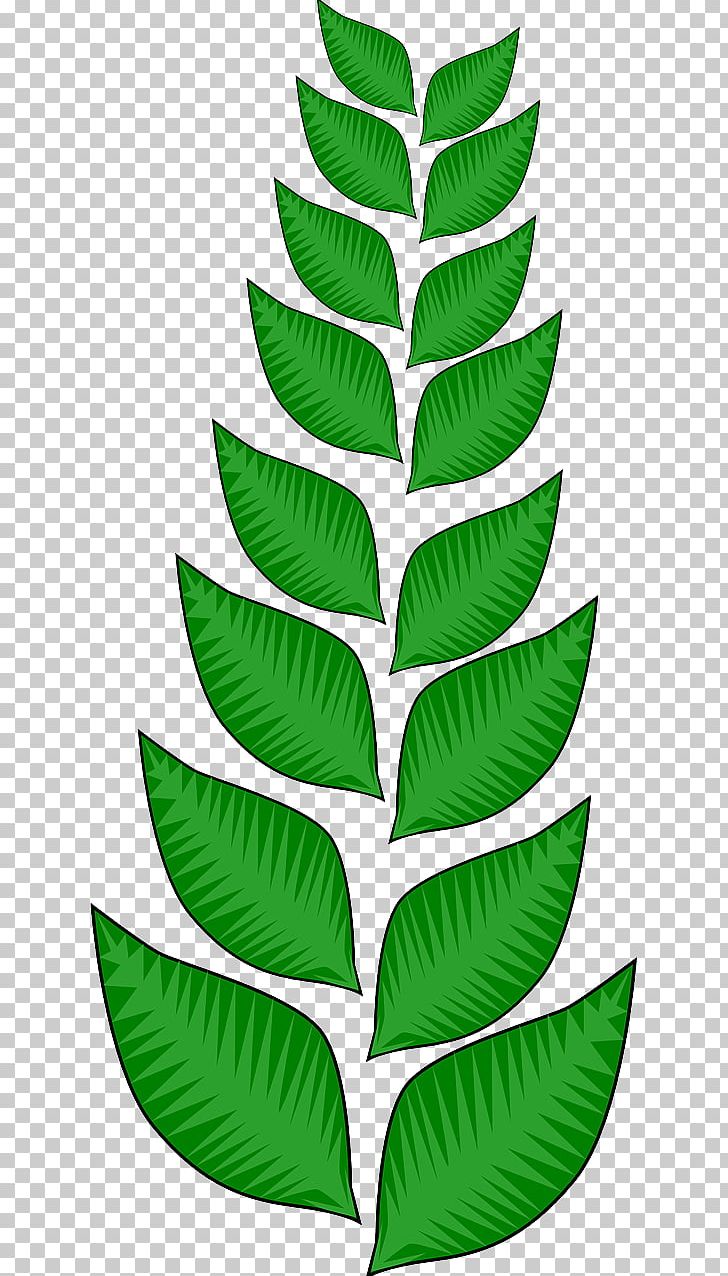Leaf Vine PNG, Clipart, Autumn Leaf Color, Drawing, Leaf, Liana, Line Free PNG Download