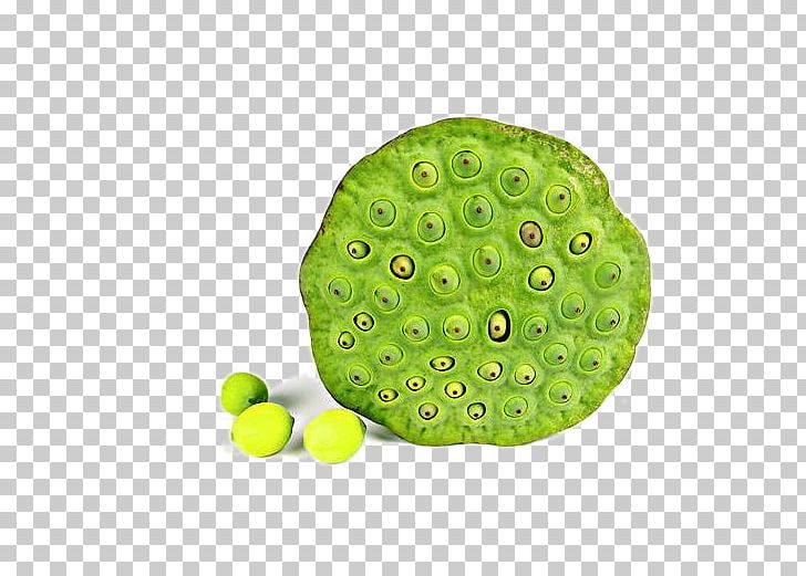 Green Nelumbo Nucifera Lotus Seed PNG, Clipart, Adobe Illustrator, Background Green, Designer, Download, Encapsulated Postscript Free PNG Download