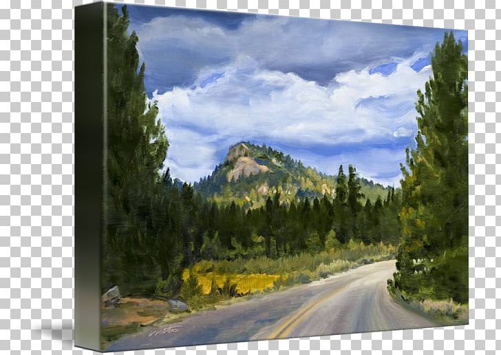 Sequoia National Park Mount Scenery Wilderness Painting Nature PNG, Clipart, Art, California, Canvas, Cloud, Forest Free PNG Download