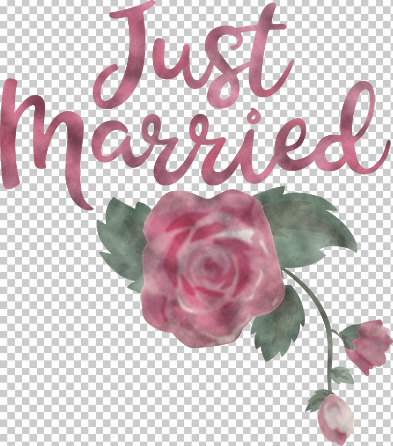 Just Married Wedding PNG, Clipart, Cabbage Rose, Cut Flowers, Floral Design, Flower, Garden Free PNG Download