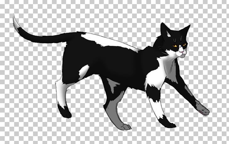 Cats Of The Clans Warriors Erin Hunter Brightheart PNG, Clipart,  Free PNG Download