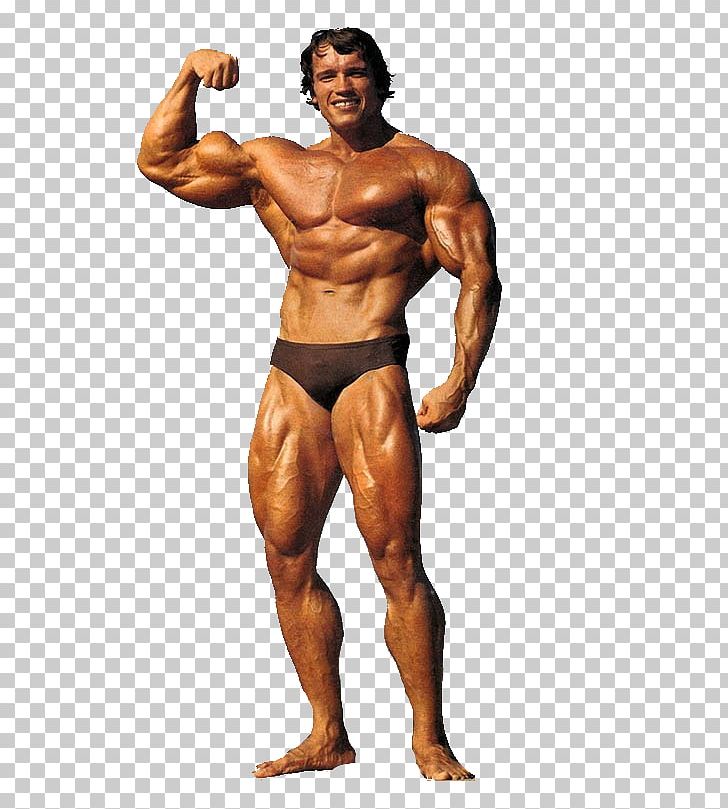 Mr. Olympia Universe Championships Female Bodybuilding Actor PNG, Clipart, Abdomen, Arm, Arnold, Arnold, Bodybuilder Free PNG Download