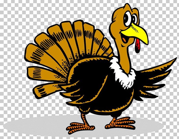 Plymouth Rock Thanksgiving Turkey Cartoon PNG, Clipart, Beak, Bird, Cartoon, Chicken, Fauna Free PNG Download