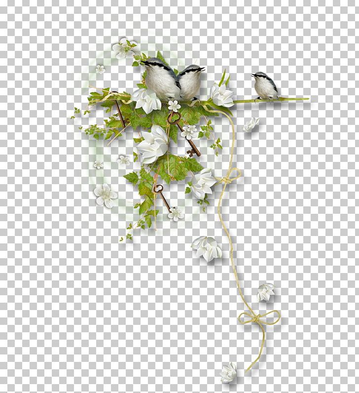 Floral Design Body Jewellery PNG, Clipart, Body Jewellery, Body Jewelry, Branch, Copywriter Background Elements, Flora Free PNG Download
