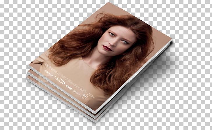 Product Long Hair 02PD PNG, Clipart, Brown Hair, Hair, Long Hair Free PNG Download