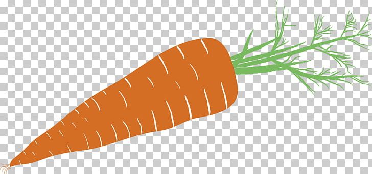 Baby Carrot Drawing Pictogram Vegetable PNG, Clipart, Baby Carrot, Carrot, Daucus Carota, Drawing, Food Free PNG Download