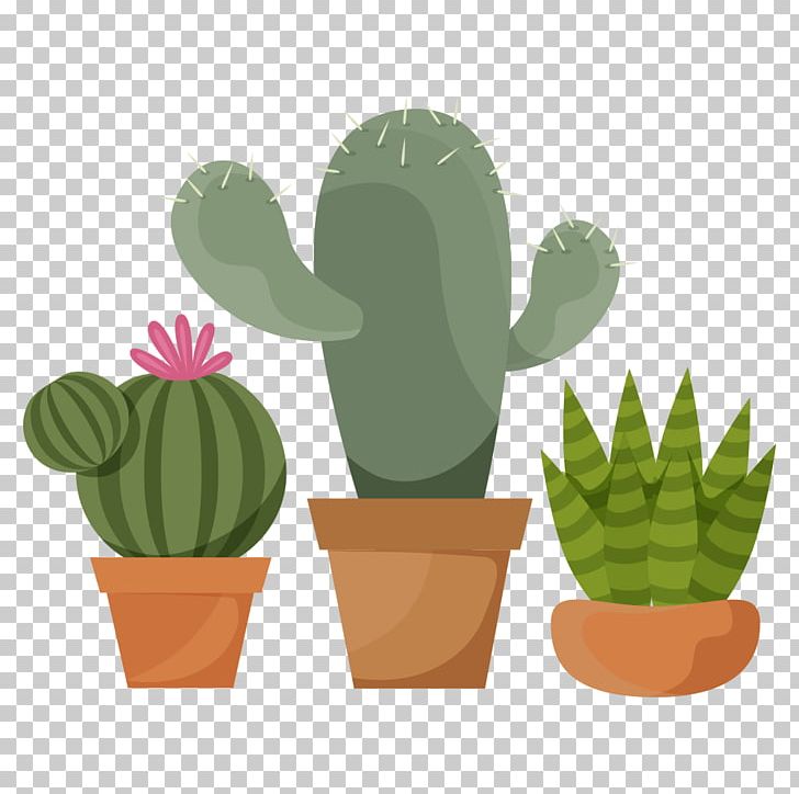 Cactaceae Succulent Plant Prickly Pear PNG, Clipart, Cactus, Caryophyllales, Echinopsis Oxygona, Elements, Etsy Free PNG Download