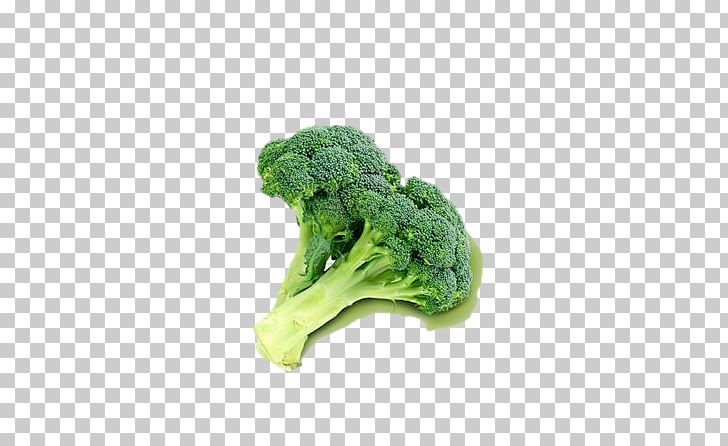 Broccoli Cauliflower Vegetable Food Masterfile Corporation PNG, Clipart, Broccoli, Broccoli 0 0 3, Broccoli Art, Broccoli Dog, Broccoli Sprout Free PNG Download