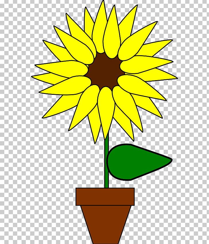 Common Sunflower Plant PNG, Clipart, Artwork, Black And White, Common Sunflower, Computer Icons, Cut Flowers Free PNG Download