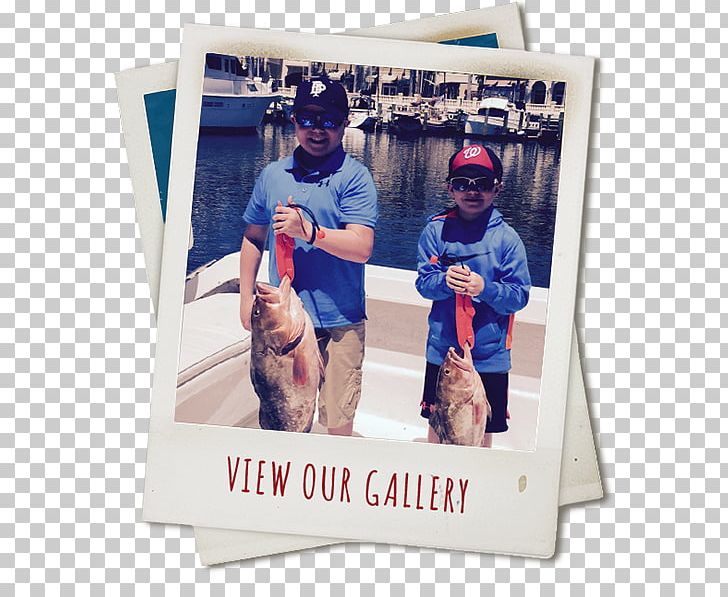 Crabby Charters Ft Myers Deep Sea Fishing Fort Myers Beach Recreational Boat Fishing PNG, Clipart, Amberjack, Cape Coral, Dog Like Mammal, Fish, Fishing Free PNG Download