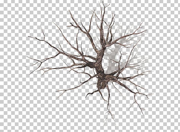 Tree Branch Plant Drawing Wood PNG, Clipart, And One, Artwork, Black And White, Branch, Drawing Free PNG Download