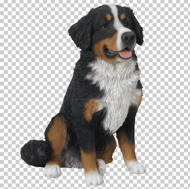 Bernese Mountain Dog Dog Breed Greater Swiss Mountain Dog Companion Dog PNG, Clipart, Bernese Mountain Dog, Breed, Breed Group Dog, Carnivoran, Companion Dog Free PNG Download