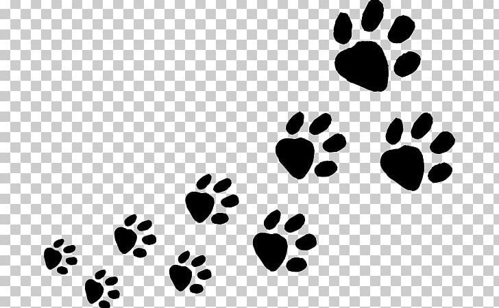 Dog Cat Animal Track Paw PNG, Clipart, Animal Footprints Cliparts, Animal Track, Black, Black And White, Cat Free PNG Download