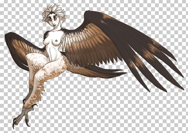 Harpy Eagle Dragon's Dogma Monster Bird PNG, Clipart,  Free PNG Download