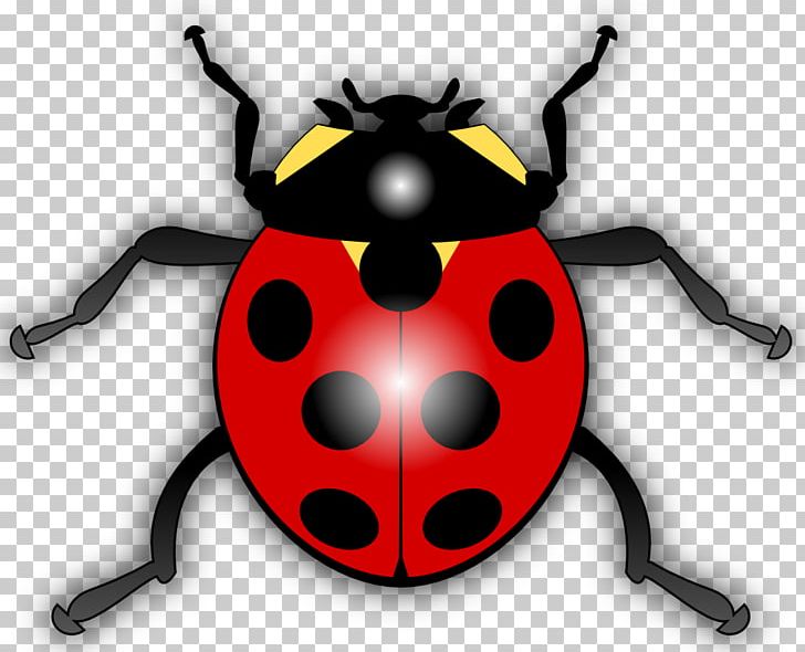 Ladybird Insect PNG, Clipart, Air And Space Academy, Arthropod, Beetle, Download, Film Free PNG Download
