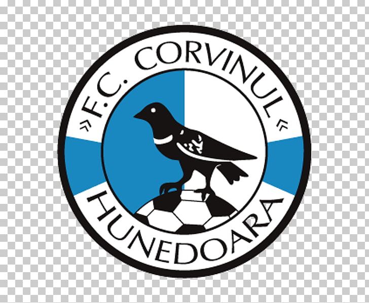 Stadionul Michael Klein FC Corvinul Hunedoara SC Corvinul 2005 Hunedoara Liga I Football PNG, Clipart, Area, Beak, Bird, Brand, Football Free PNG Download