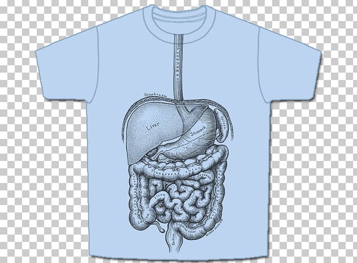 T-shirt Anatomy Human Digestive System PNG, Clipart, Anatomy, Bone, Clothing, Digestion, Digestive System Free PNG Download