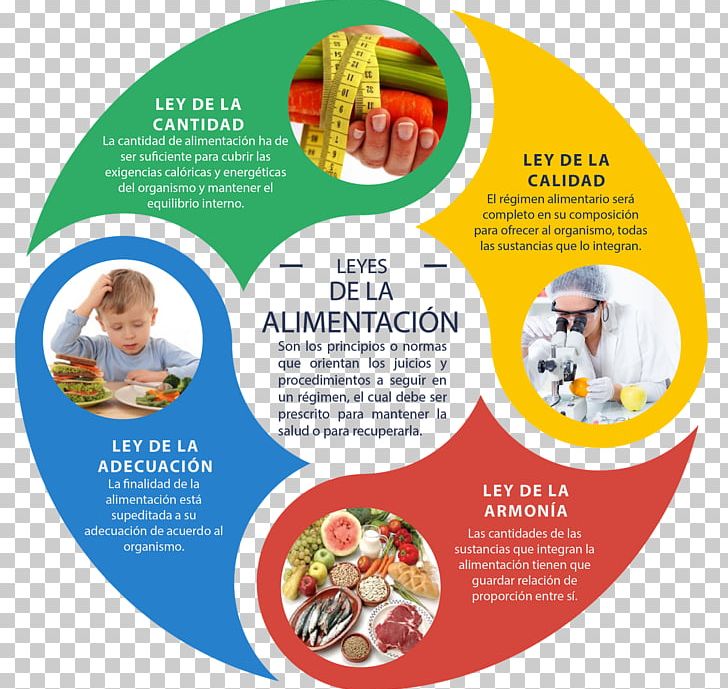 Teacher Learning University Of Algarve School Management PNG, Clipart, Advertising, Business, Convenience Food, Cuisine, Diet Food Free PNG Download