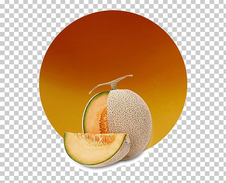 Cantaloupe Juice Grapefruit Orange Vegetarian Cuisine PNG, Clipart, Cantaloupe, Citric Acid, Citrus, Concentrate, Cucumber Gourd And Melon Family Free PNG Download