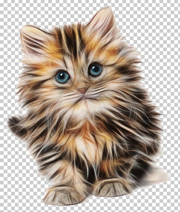 Cat Kitten Felidae Mouse Cuteness PNG, Clipart, Animals, Carnivoran, Cat Like Mammal, Cuteness, Desktop Wallpaper Free PNG Download