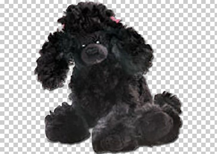 Standard Poodle Miniature Poodle Portuguese Water Dog Barbet Spanish Water Dog PNG, Clipart, Animal, Animals, Barbet, Black, Carnivoran Free PNG Download