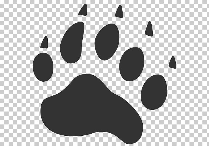 American Black Bear Cat Paw Computer Icons PNG, Clipart, American Black ...