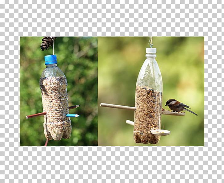 Bird Feeders Plastic Bottle Bird Feeding Bottle Recycling Png