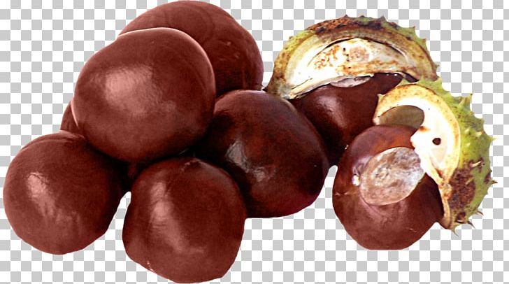 Conkers European Horse-chestnut Fruit Auglis PNG, Clipart, Bonbon, Chestnut, Chocolate, Chocolate Truffle, Commodity Free PNG Download