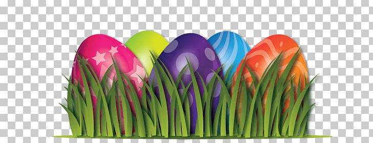 Easter Egg Egg Hunt Fit For A Queen Of Atlanta Game PNG, Clipart, Child, Easter, Easter Egg, Easter Egg Hunt, Egg Free PNG Download