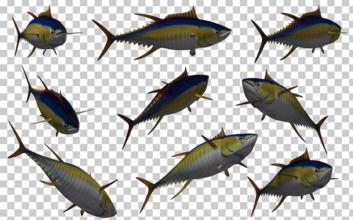 Fish 3D Computer Graphics PNG, Clipart, 3d Computer Graphics, Animal, Animals, Bony Fish, Computer Graphics Free PNG Download
