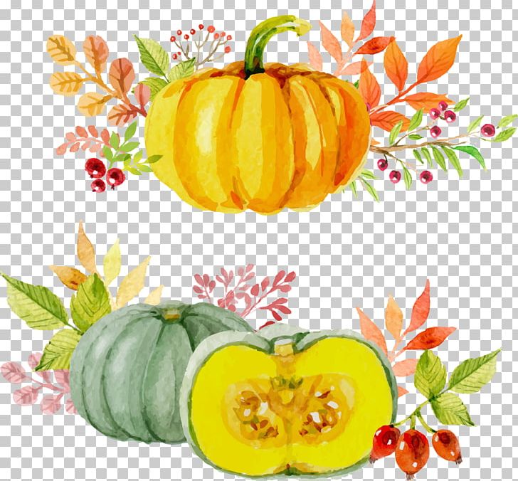 Paper Thanksgiving Watercolor Painting Autumn Pumpkin PNG, Clipart, Flower, Food, Fruit, Gourd, Happy Birthday Vector Images Free PNG Download
