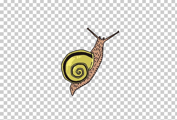 Snail PNG, Clipart, Animals, Invertebrate, Limax Maximus, Molluscs, Snail Free PNG Download