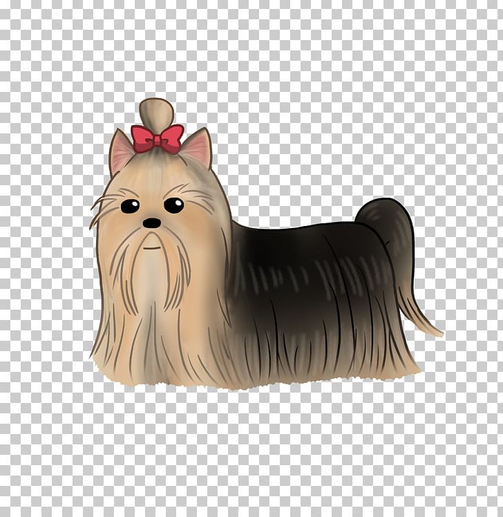 Yorkshire Terrier Cairn Terrier Australian Silky Terrier Companion Dog Dog Breed PNG, Clipart, Australian Silky Terrier, Breed, Cairn, Cairn Terrier, Carnivoran Free PNG Download