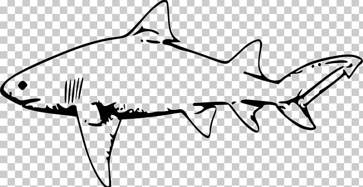 Lemon Shark Drawing PNG, Clipart, Animals, Area, Artwork, Black, Black And White Free PNG Download