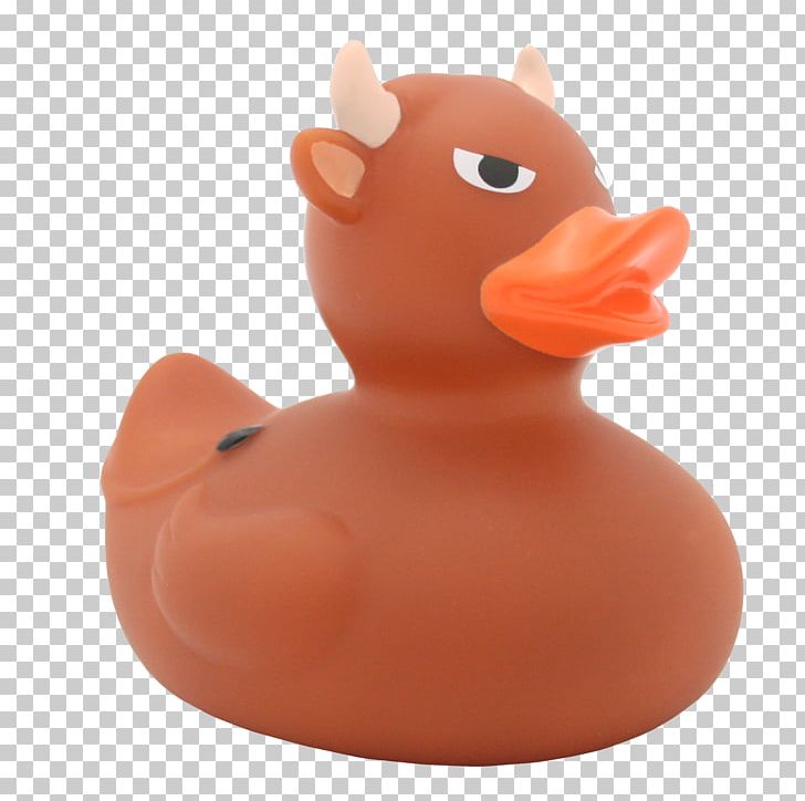 Rubber Duck LILALU Information PNG, Clipart, Animals, Beak, Bird, Bodybuilding, Breast Free PNG Download