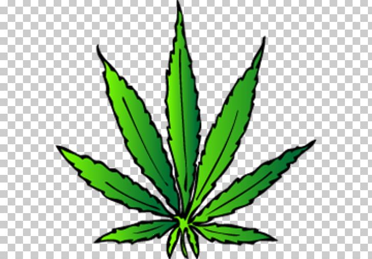 Cannabis Smoking Cannabidiol Hemp PNG, Clipart, Cannabidiol, Cannabis, Cannabis Smoking, Curtain, Farmer Free PNG Download