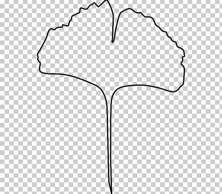 Ginkgo Biloba Baiera PNG, Clipart, Angle, Area, Baiera, Black, Black And White Free PNG Download