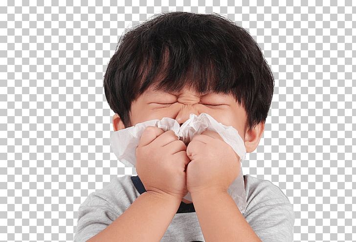 Nose Hay Fever Child Sneeze Allergy PNG, Clipart, Allergy, Child, Clinic, Common Cold, Hay Fever Free PNG Download