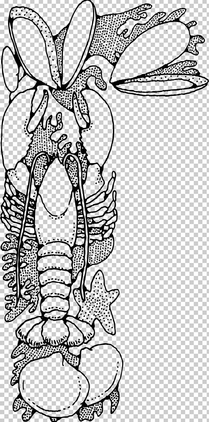 Clam Cajun Cuisine Lobster Seafood PNG, Clipart, Animals, Arm, Art, Fictional Character, Flower Free PNG Download