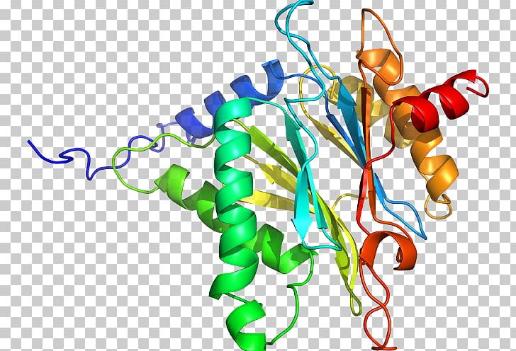 Protein Tertiary Structure Radixin Protein Structure Gene PNG, Clipart, Artwork, Chromosome 11, Explosive Material, Gene, Line Free PNG Download