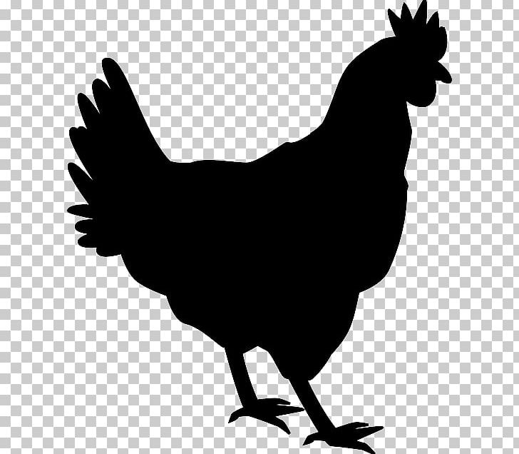 Silkie Shamo Chickens Silhouette Rooster PNG, Clipart, Animals, Beak, Bird, Black And White, Chicken Free PNG Download